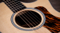 Preview: Taylor 414ce Next Generation