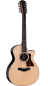 Preview: Taylor 454ce 12 string Next Generation