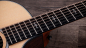 Preview: Taylor 454ce 12 string Next Generation