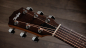Preview: Taylor Academy 12e Limited Hawaiian Koa