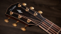 Preview: Taylor 814ce Builders Edition Next Generation