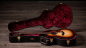 Preview: Taylor 814ce Builders Edition Honduran / Adirondack Next Generation