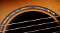 Preview: Taylor 814ce Builders Edition Honduran / Adirondack Next Generation