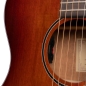 Preview: Cort Core-OC Blackwood