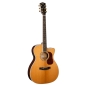 Preview: Cort Gold OC-8