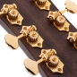 Preview: Cort Gold OC-8
