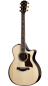 Preview: Taylor 814ce Builders Edition