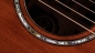 Preview: Taylor 50th Anniversary 814ce Builders Edition