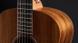 Preview: Taylor GS Mini-e Koa