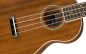 Preview: Fender Zuma Concert Ukulele
