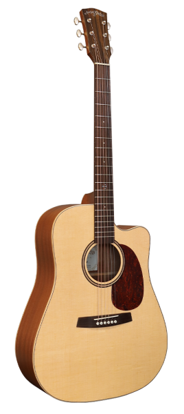 Anchor Guitars Eagle AE-CW
