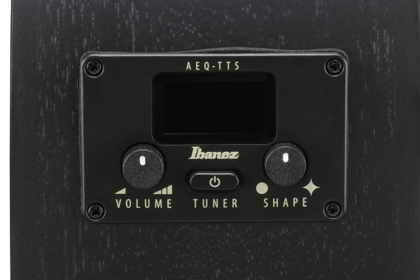 Ibanez AEG621-BOT Black Out