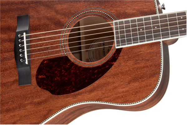 Fender PM-1 All Mahogany