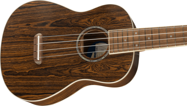 Fender Zuma Exotic Concert Ukulele