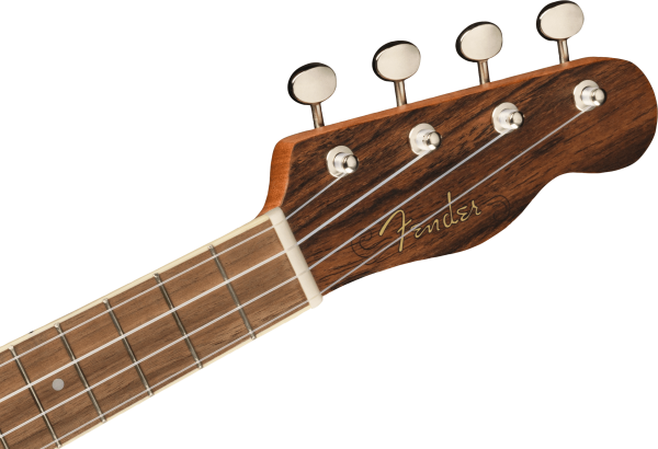 Fender Zuma Exotic Concert Ukulele
