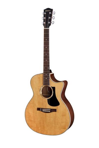 Preview: Eastman PCH2 GACE