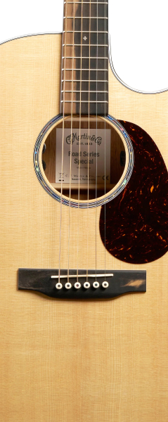 Preview: Martin GPC-13E Modern
