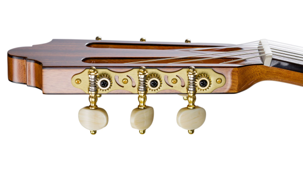 Duke Basis C 63/48 Cut, Zeder massiv/ Bubinga, Crossover Cutaway