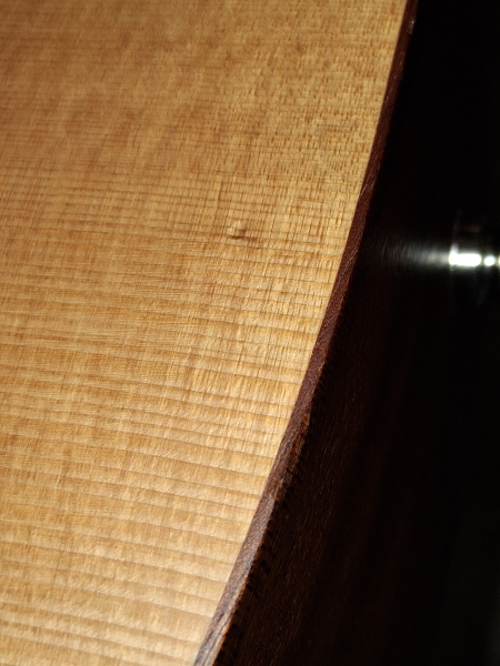 Spector Timbre TB-4 Akkustik Bass, massive Fichtendecke, Tonabnehmer, gebraucht