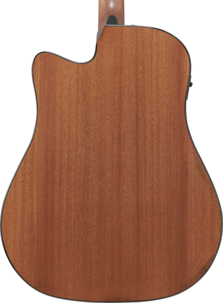 Preview: Ibanez AAD-51CE DVS