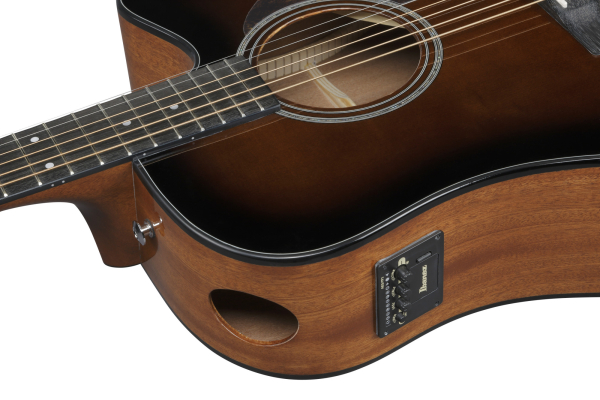 Ibanez AAD-51CE DVS