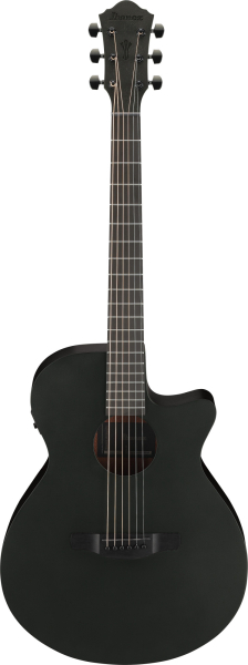 Ibanez AEG621-BOT