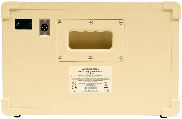 Blackstar Acoustic Core 30