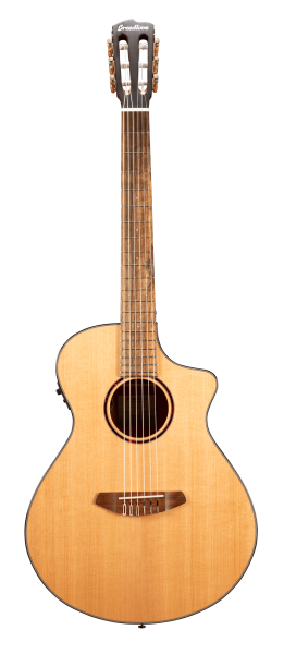 Breedlove Discovery S Concert Nylon