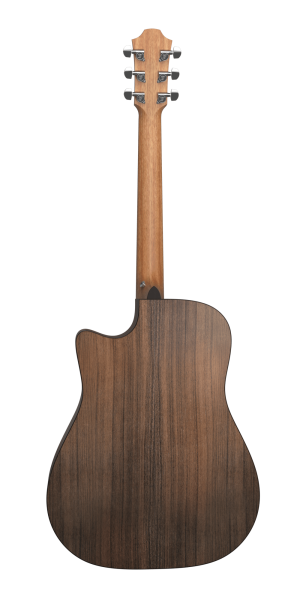 Furch Blue DC-SW L.R.Baggs Element Stagepro