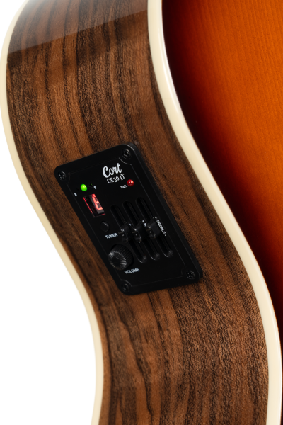 Cort Exotic GA Walnut