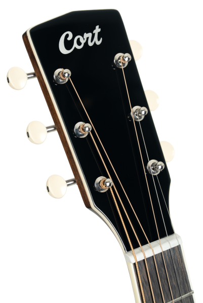 Cort Exotic SFX Ash