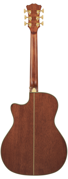 D´Angelico Excel Gramercy Autumn Burst