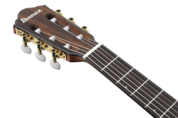 Ibanez FRH10N-BSF, Fichte massiv / Sapele