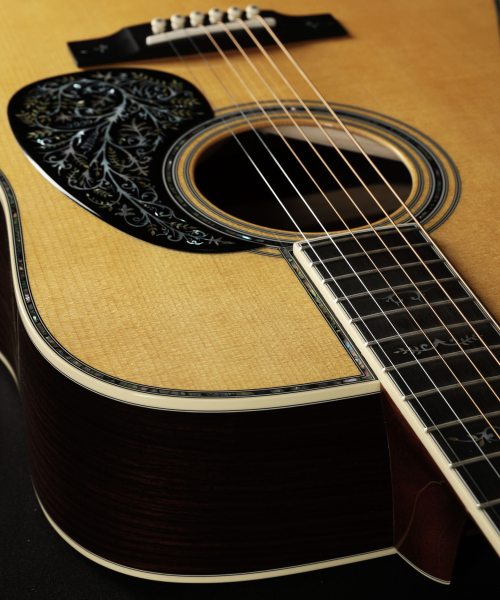 Preview: Martin D-42 Special