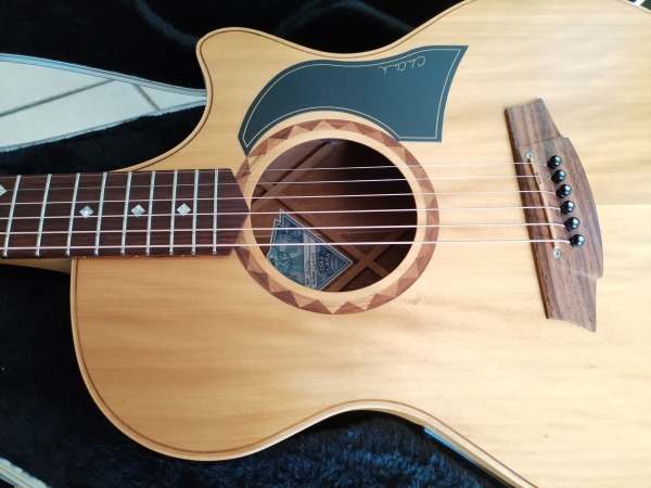 Cole Clark Angel AN-2AC second hand incl.Case