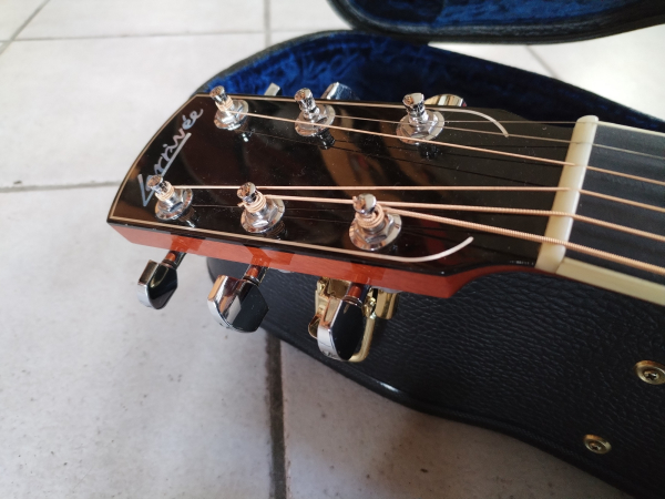 Preview: Larrivee L-09 Anthem second hand