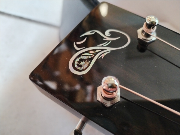 Santa Cruz BPW Brad Paisley Signature second hand