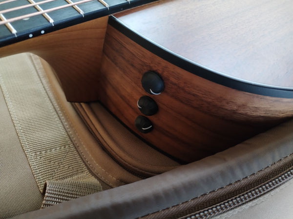 Taylor 124ce Walnut limited edition second hand