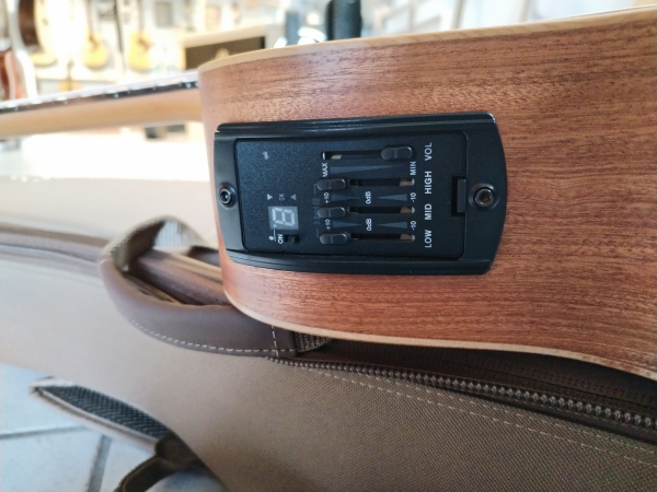Preview: Taylor GS Mini-e Limited Olive