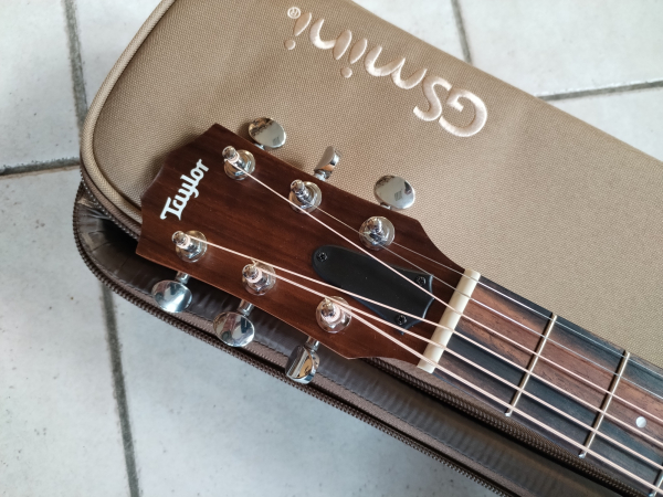 Taylor GS Mini-e Limited Olive