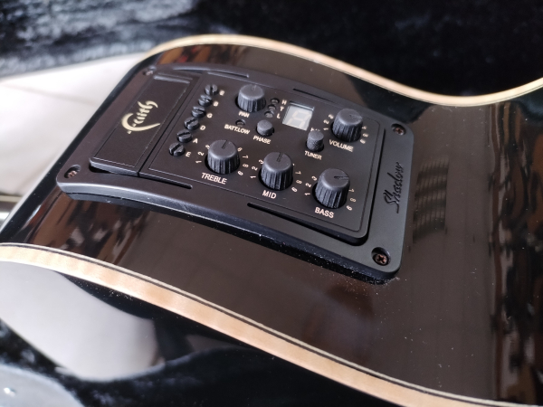 Preview: Faith FECV12 Venus 12 string Demomodell
