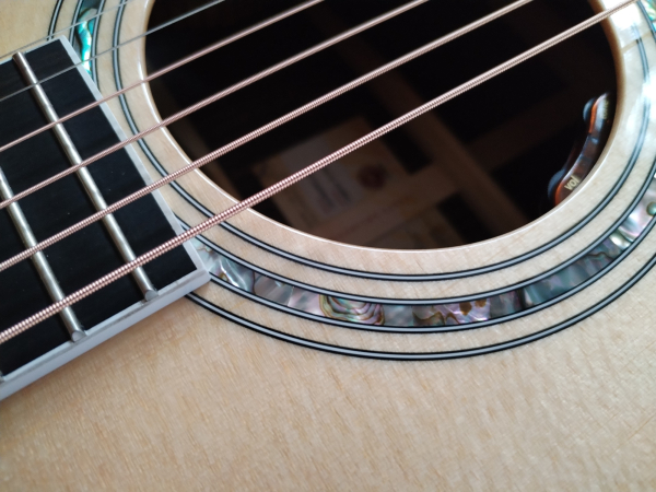 Taylor 815e Legacy Serie