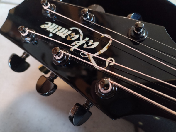 Takamine Limited 2008 second hand