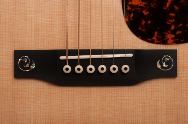 Preview: Larrivee D-10E L.R.Baggs Anthem Pickup System