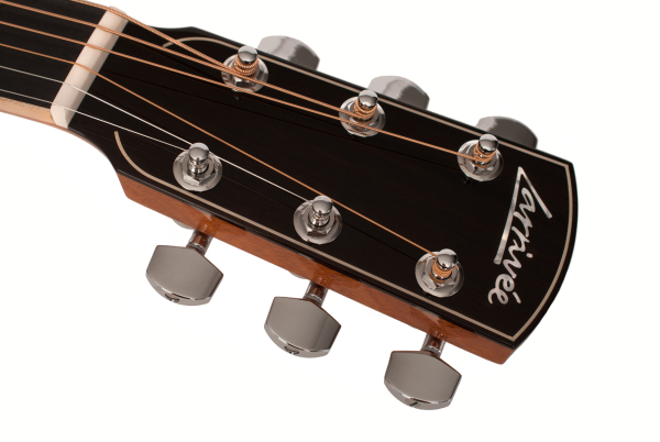 Larrivee D-10E L.R.Baggs Anthem Pickup System
