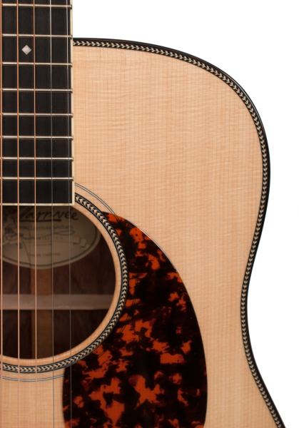 Preview: Larrivee D-60E L.R.Baggs Anthem Pickup System
