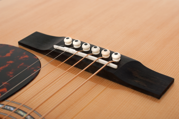 Preview: Larrivee L-09E L.R.Baggs Anthem Pickup System