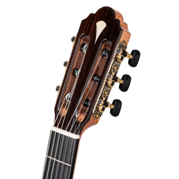 Maravilla M50-CE Crossover, Fichte oder Zeder massiv / Palisander, Pickup / Cutaway