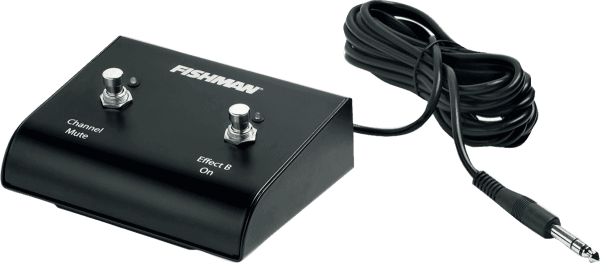 Fishman Dual Footswitch
