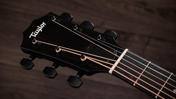 Taylor 214ce Plus Special Edition Transparent blue